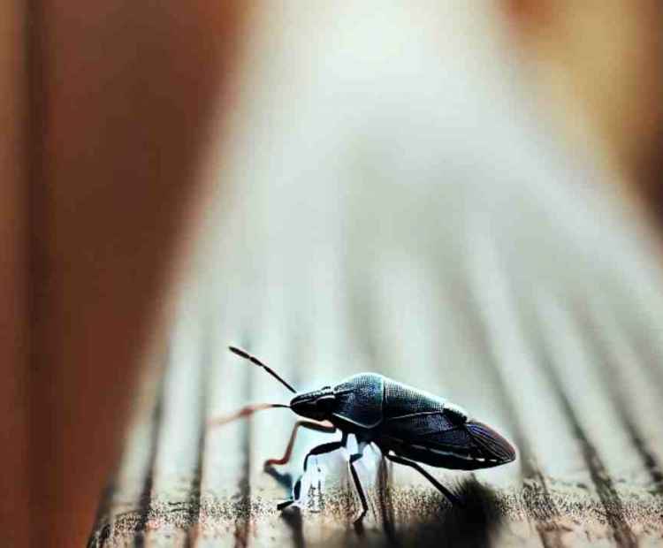 A tiny bug crawling on a leaf, working tirelessly in its tiny world filled with natural wonders.