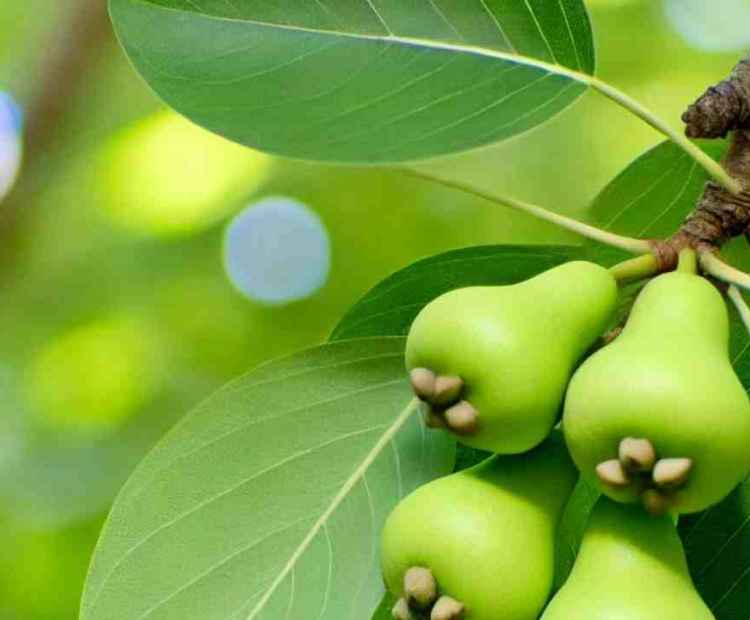 Bright forest berries glistening in the sunlight, with the vibrant greenery of the surrounding woods.
