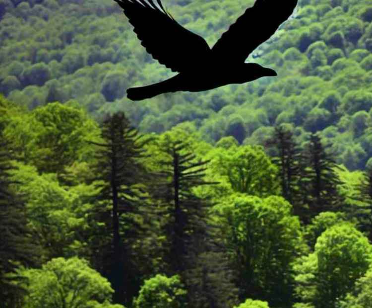 A majestic wild bird performing an aerial dance in the sky, soaring above the mountainous terrain.